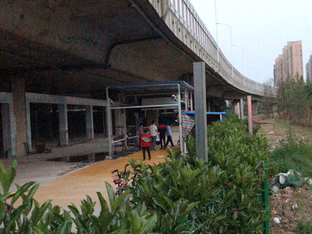2018042909410100100_lb360.jpg